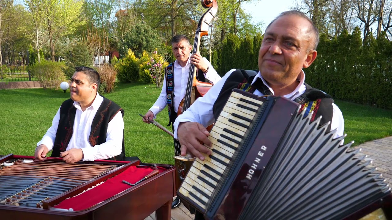 Taraful din Teleorman si Marian Sandu - Live 100%