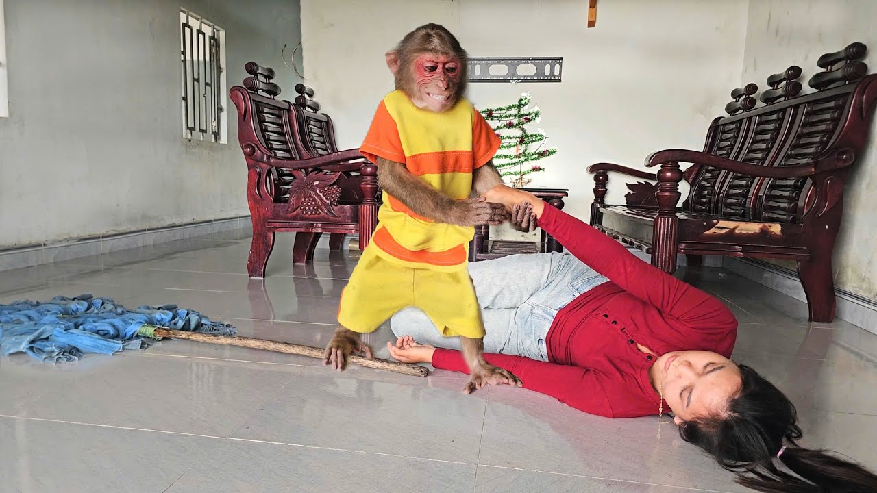 Mom Suddenly Collapses &mdash; What Will Monkey Su Do?