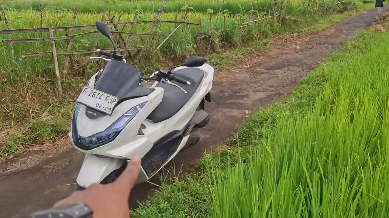 #jual murah swah luas 400 mtr surt gitik sppt  c desa bisa naik ajb shm akses mobil tnah datar