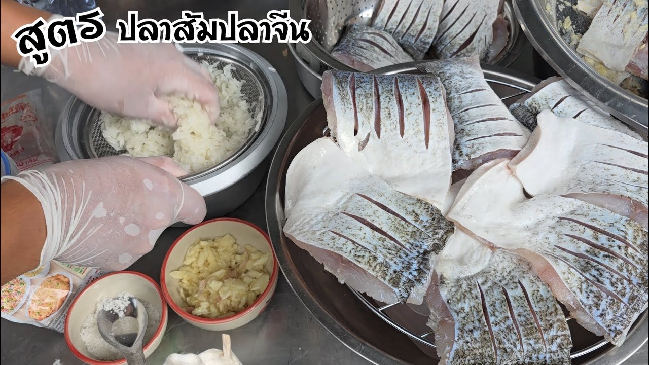 สูตรทำปลาส้มปลาจีน ปลาตัวใหญ่ สอนทำแบบละเอียด ทำตามได้100% เนื้อปลาแน่นขาวสวย เปรี้ยวกำลังดี