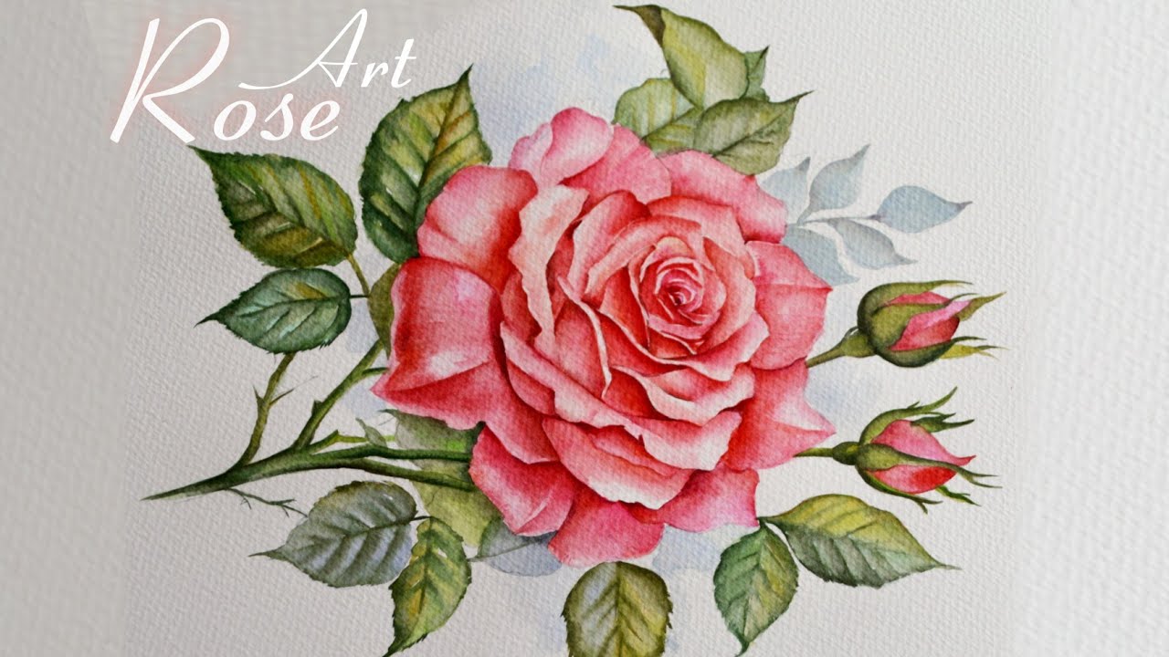 Red Rose WaterColor Painting | Watercolor Illustration
