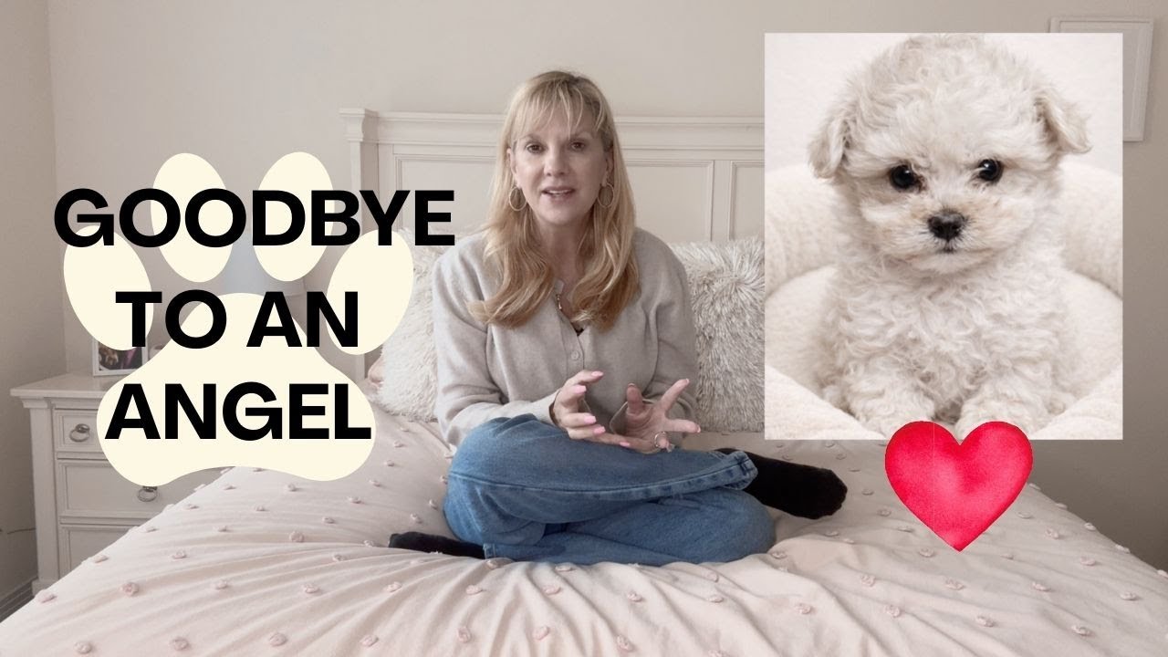 Goodbye to an Angel 🤍