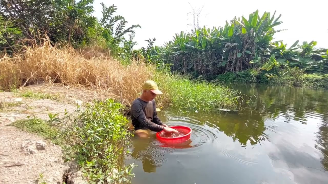 Ba lúa nhà quê săn bắt