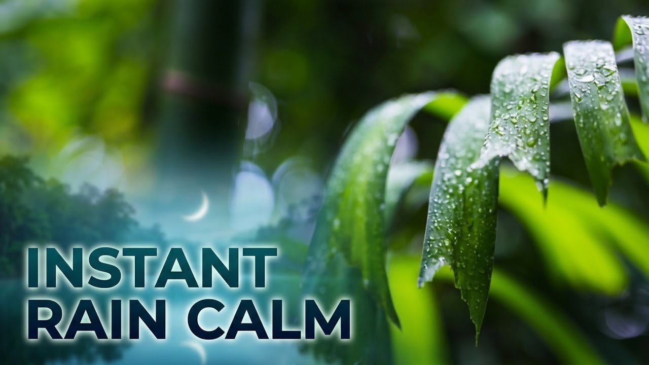 🌧️ 1 Hour Tropical Rain Ambience | Moonlake Nature Ambience