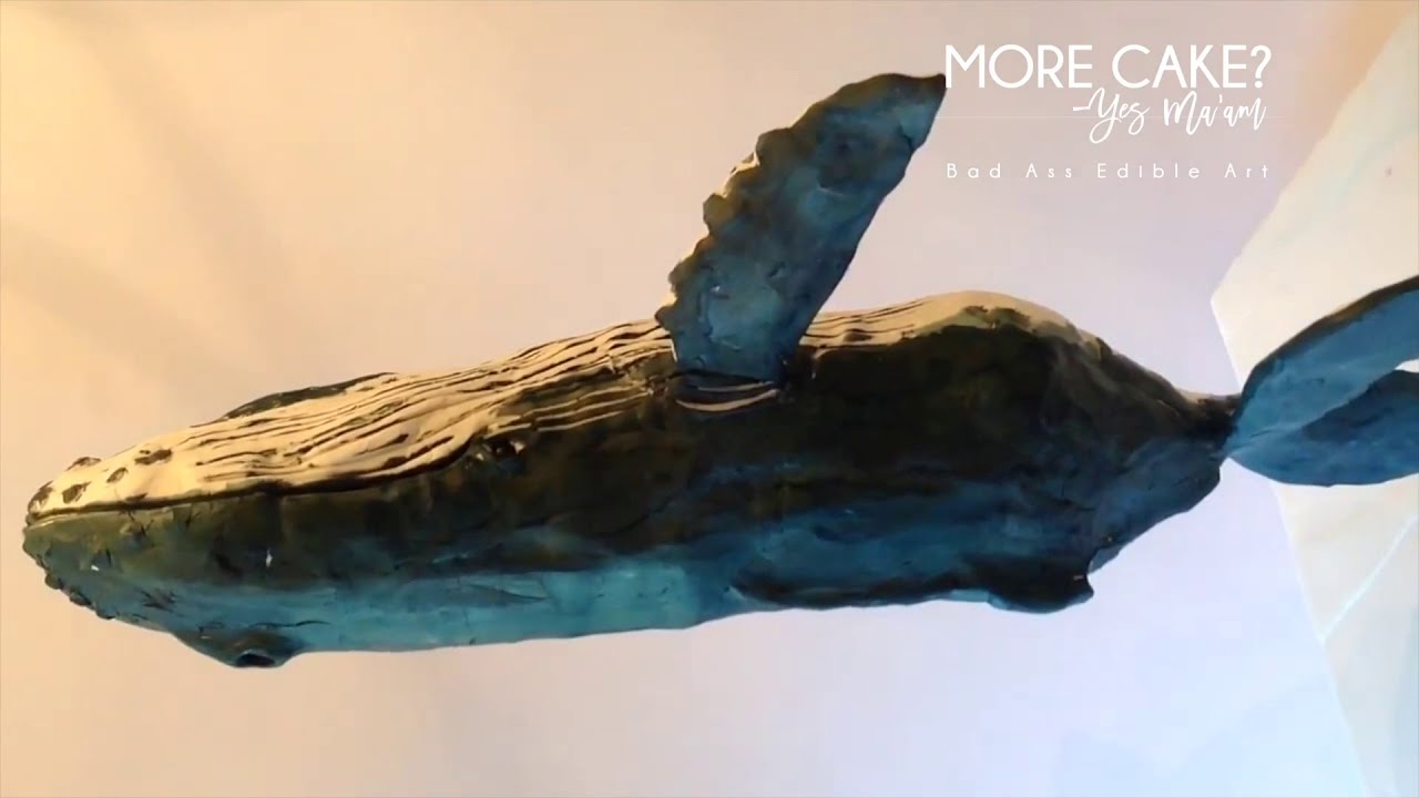 Humpback Whale Cake - Timelapse