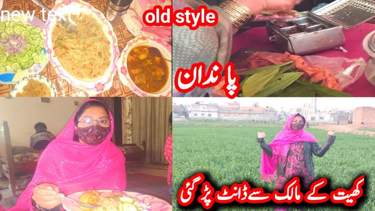 Special Lunch Vlog | Green Fields & Pan Fun ✨Enjoying Special Lunch with Pan in Nature💞Desi paandan💫