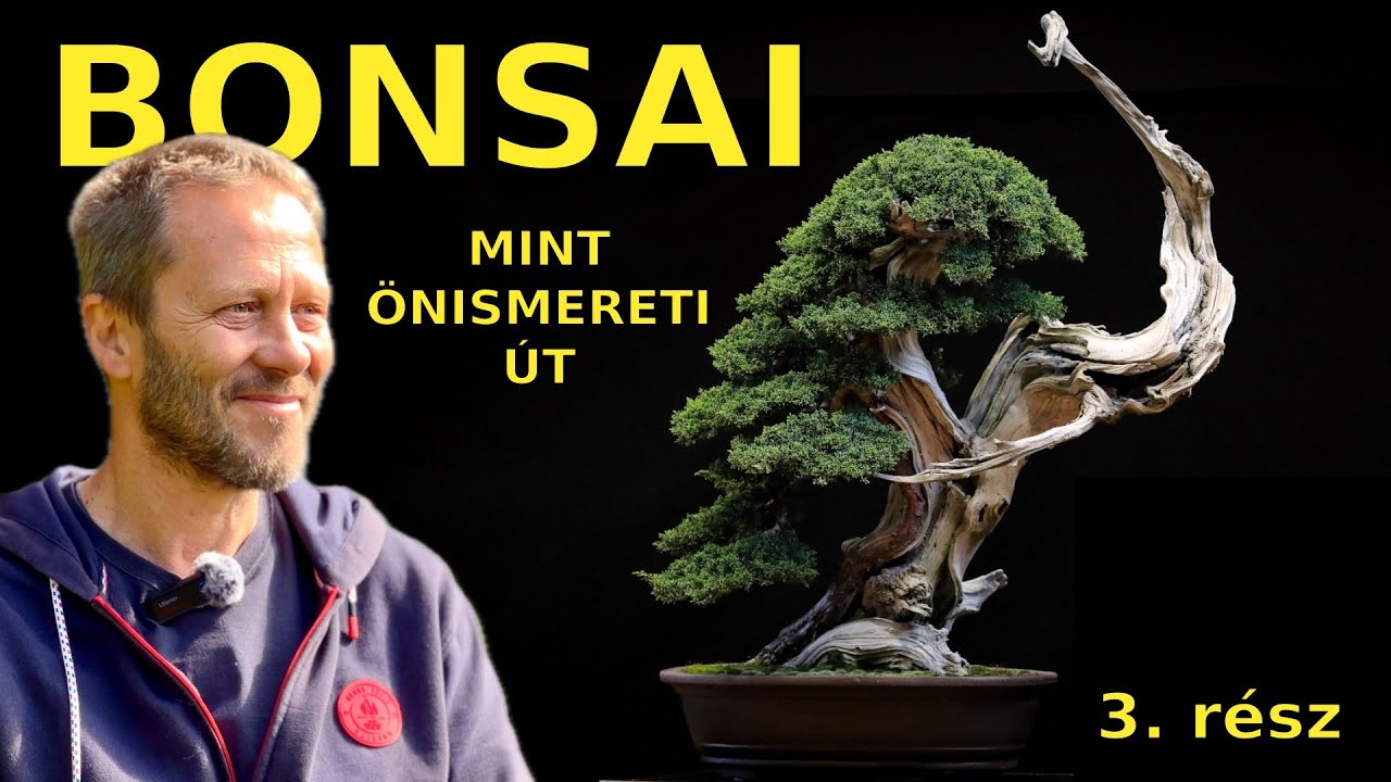 A bonsai, mint önismereti út - 3. rész: beszélgetés Burschl József bonsai mesterrel