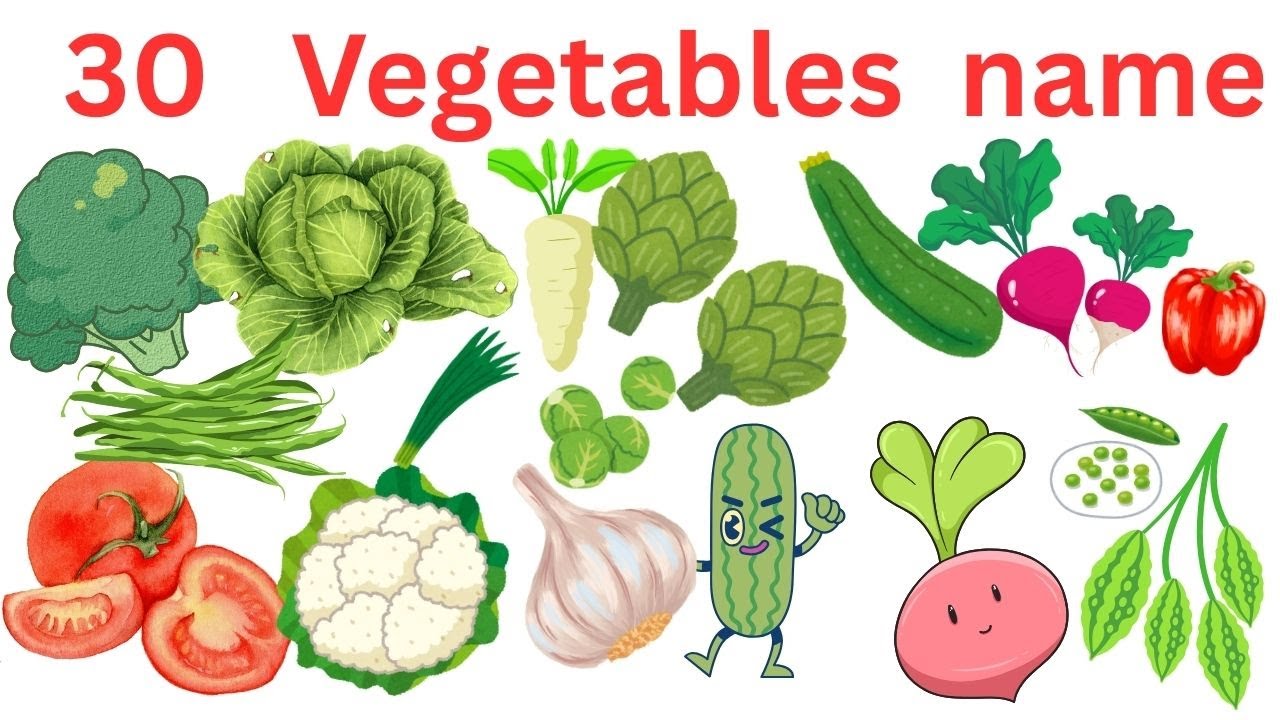 30 Vegetables name || Vegetables name | vegetables name in english | Vegetables pictures