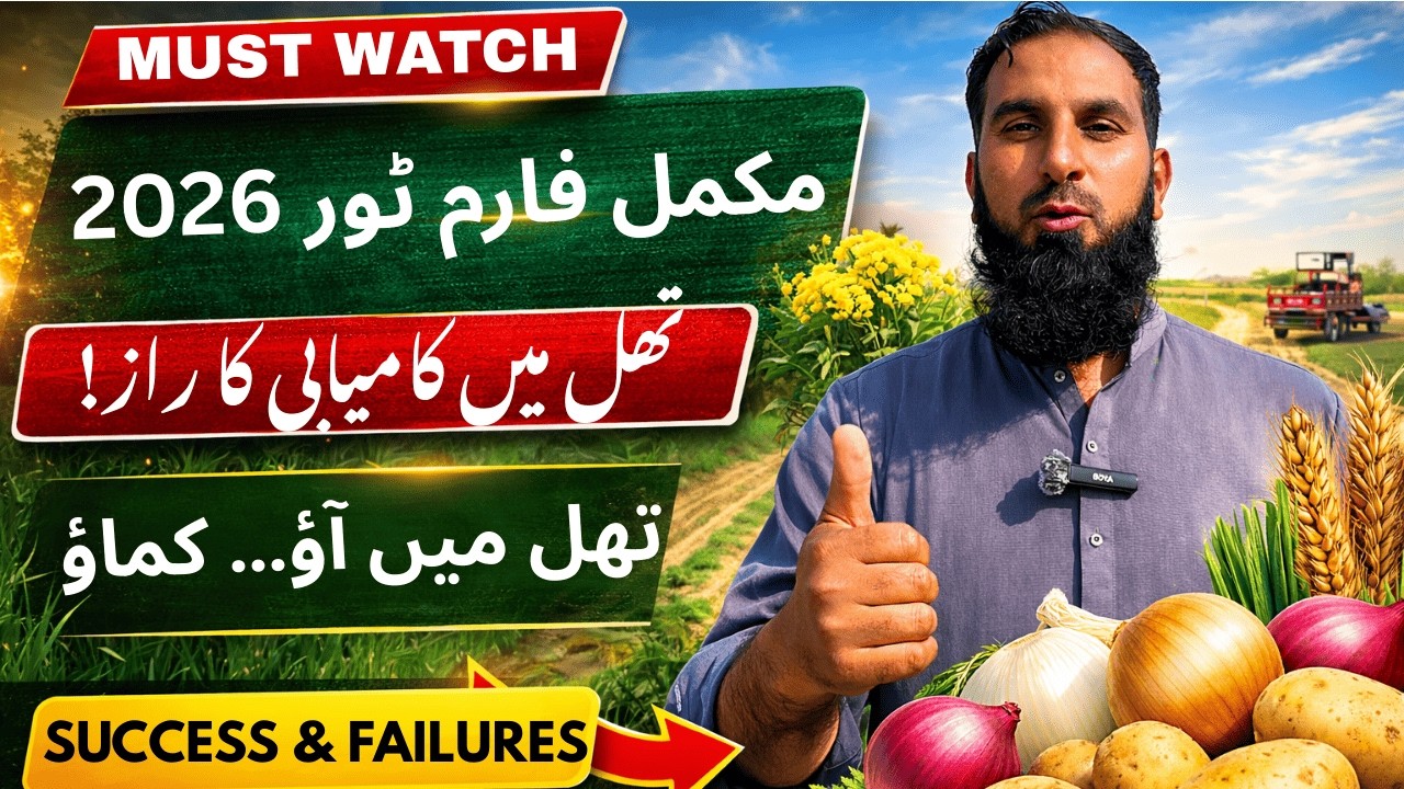 Thal Farm Complete Update | Piyaz, Tamatar, Aloo, Tarbooz, Chukandar aur bohat si sabziyon ka result