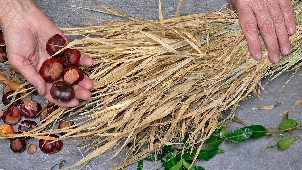Я собрала желуди и каштаны в парке и сделала нечто крутое! Смотрите до конца!