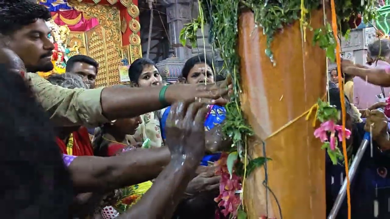 Palani Mariamman Temple Festival 