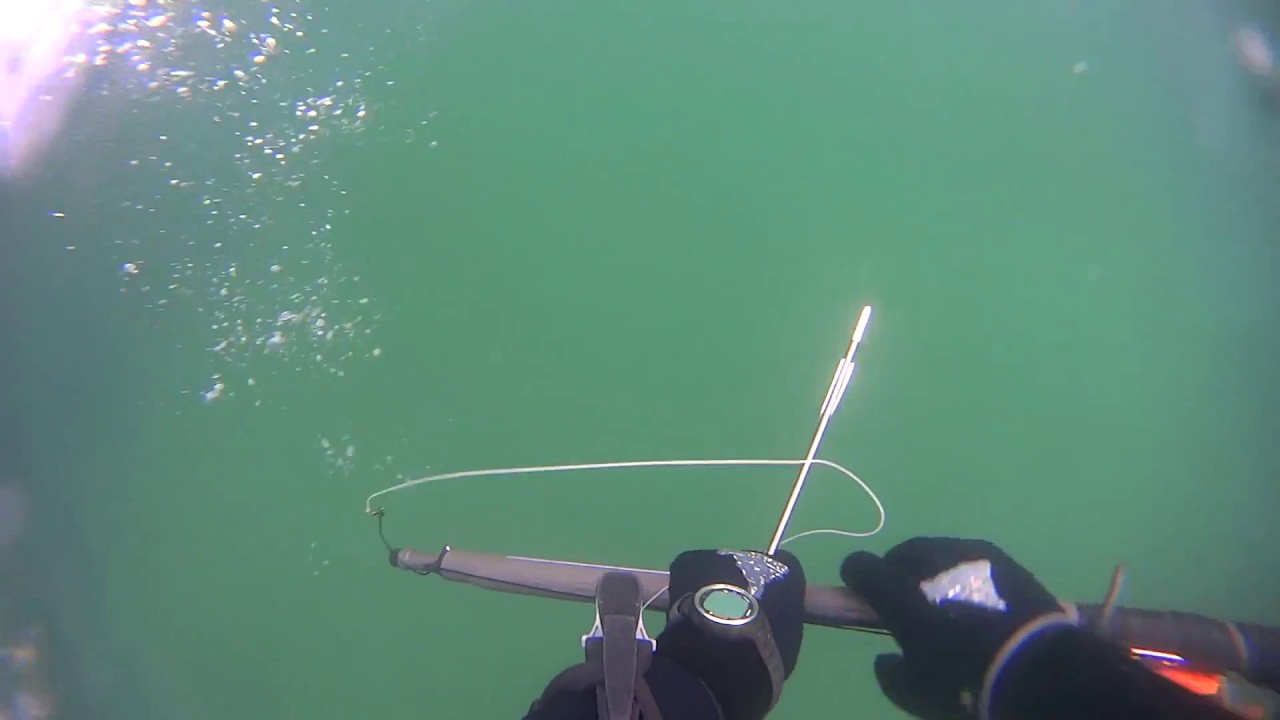 Some quick shots out of Pelengas Magnum 90, amazing speargun!