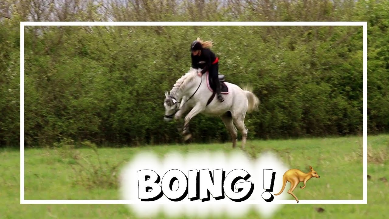 ► JE TOMBE ? PREMIERS GALOPS DEPUIS 10 MOIS !