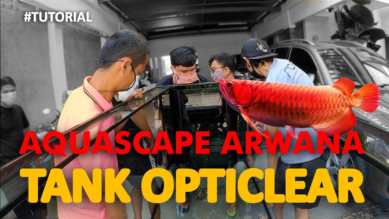 AQUASCAPE ARWANA - Tank Opticlear Seharga Sepeda Motor