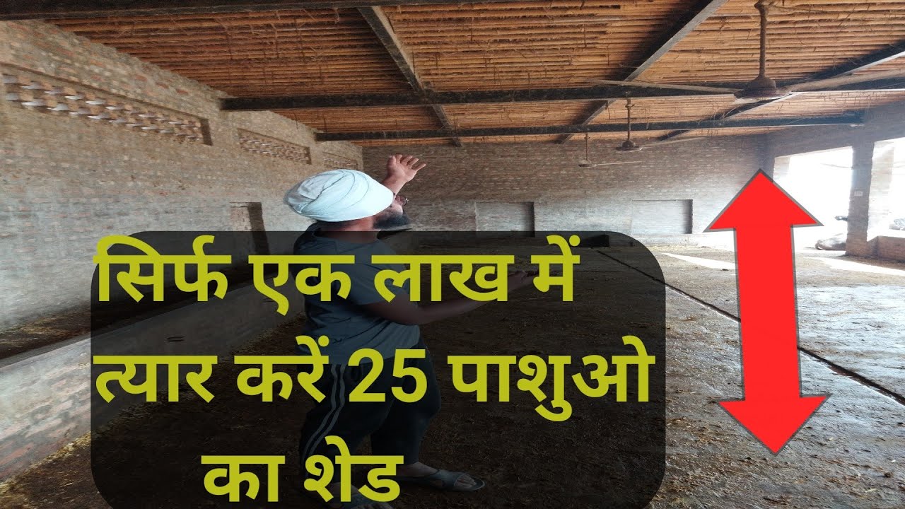 How to make cow shed, पशुओं के लिए सस्ता शेड कैसे बनाए।। पंजाब