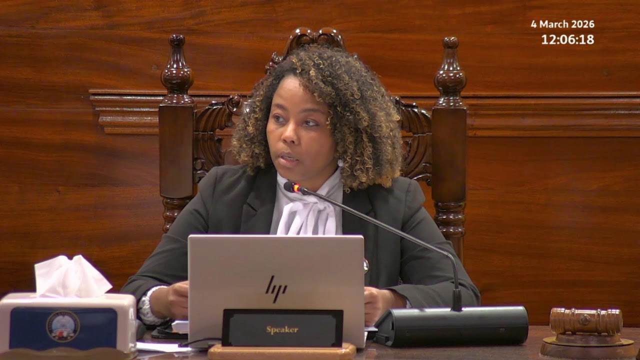 Budget 2026 Committee Stage - Sitting Wednesday 4 March 2026 Part 2