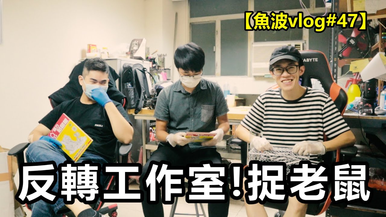 吱吱🐭~反轉工作室捉老鼠🐭!捉唔到誓不罷休🤬🤬【魚波vlog#47】