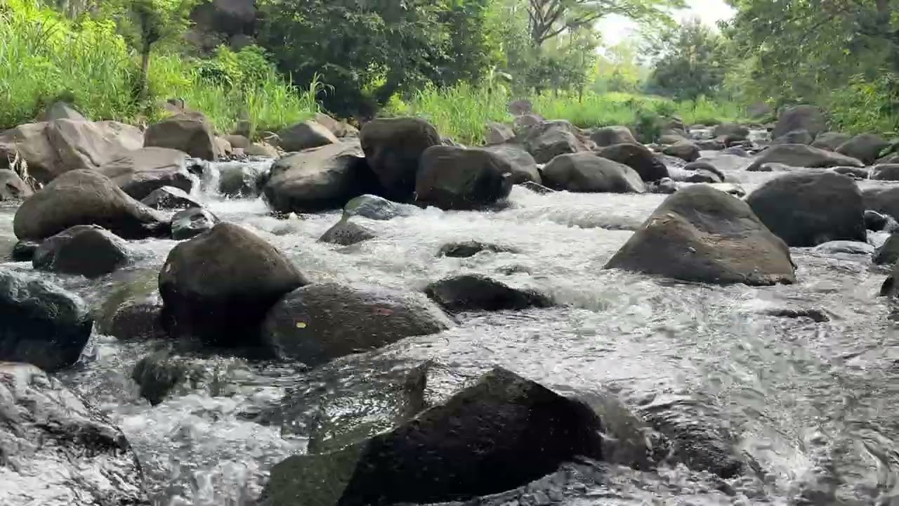 This River Sound Feels Like Therapy 🌊
