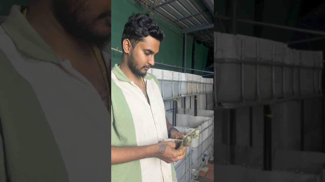 1000+ monster fish | fish farm purchase #btaqua