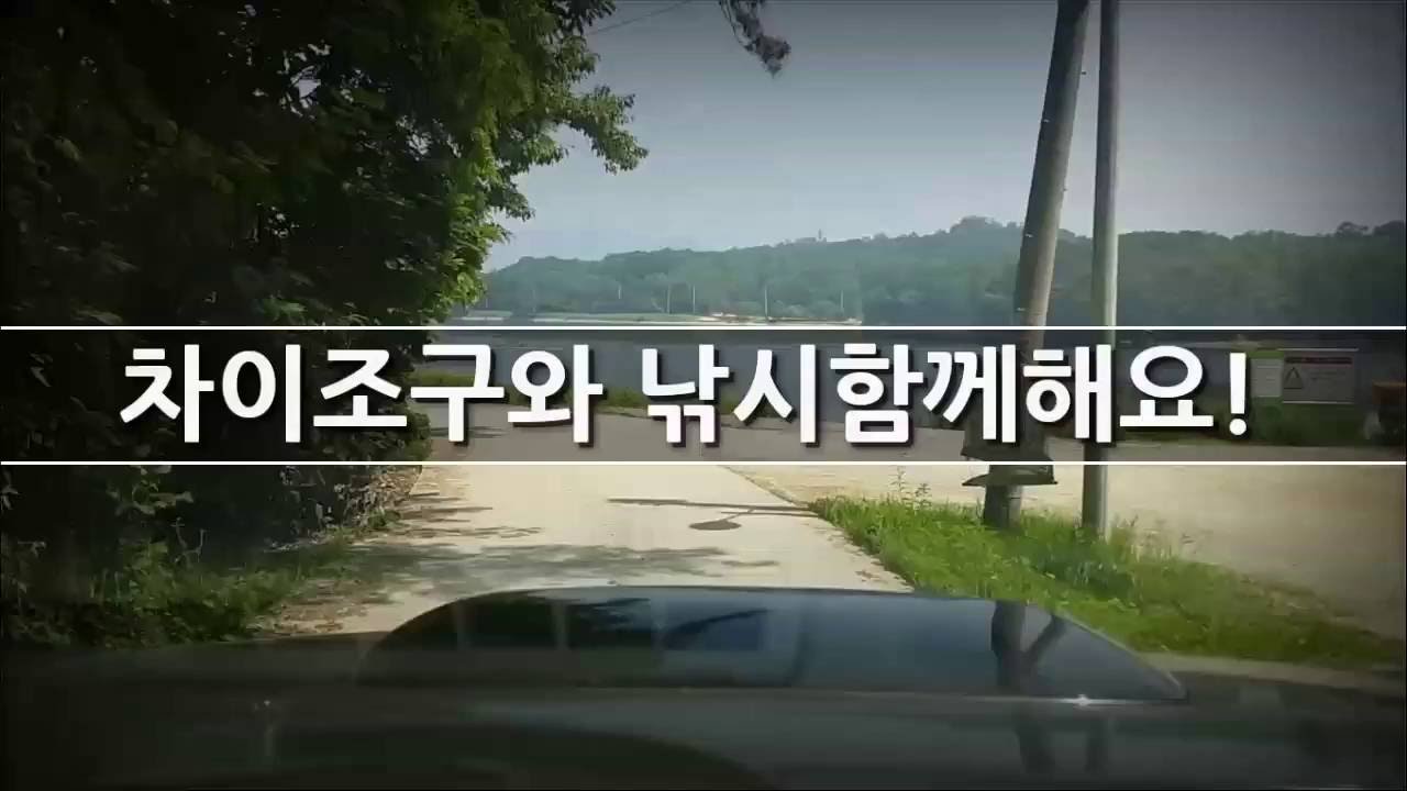 차이조구 와 낚시함께해요!