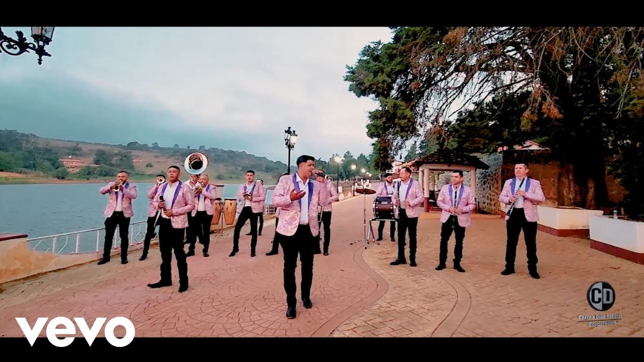 Banda La Reina De San Marcos - Te Metiste