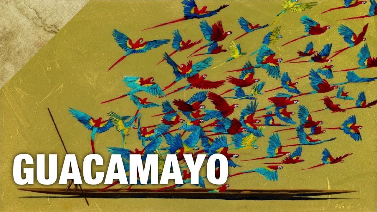 Danit Treubig - Guacamayo + Lyrics / Letra / Paroles