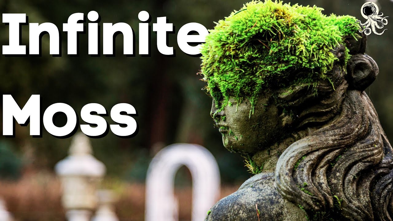 Grow MOSS Like a Pro: How To Moss Farm