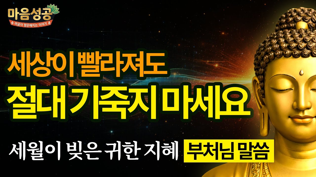 세상이 빨라질수록, 당신의 가치는 더욱 빛이 납니다 ㅣ하루가 다르게 변하는 세상에서 품격있는 노년의 길 걷기 #부처님말씀 #명언 #인생조언 #철학