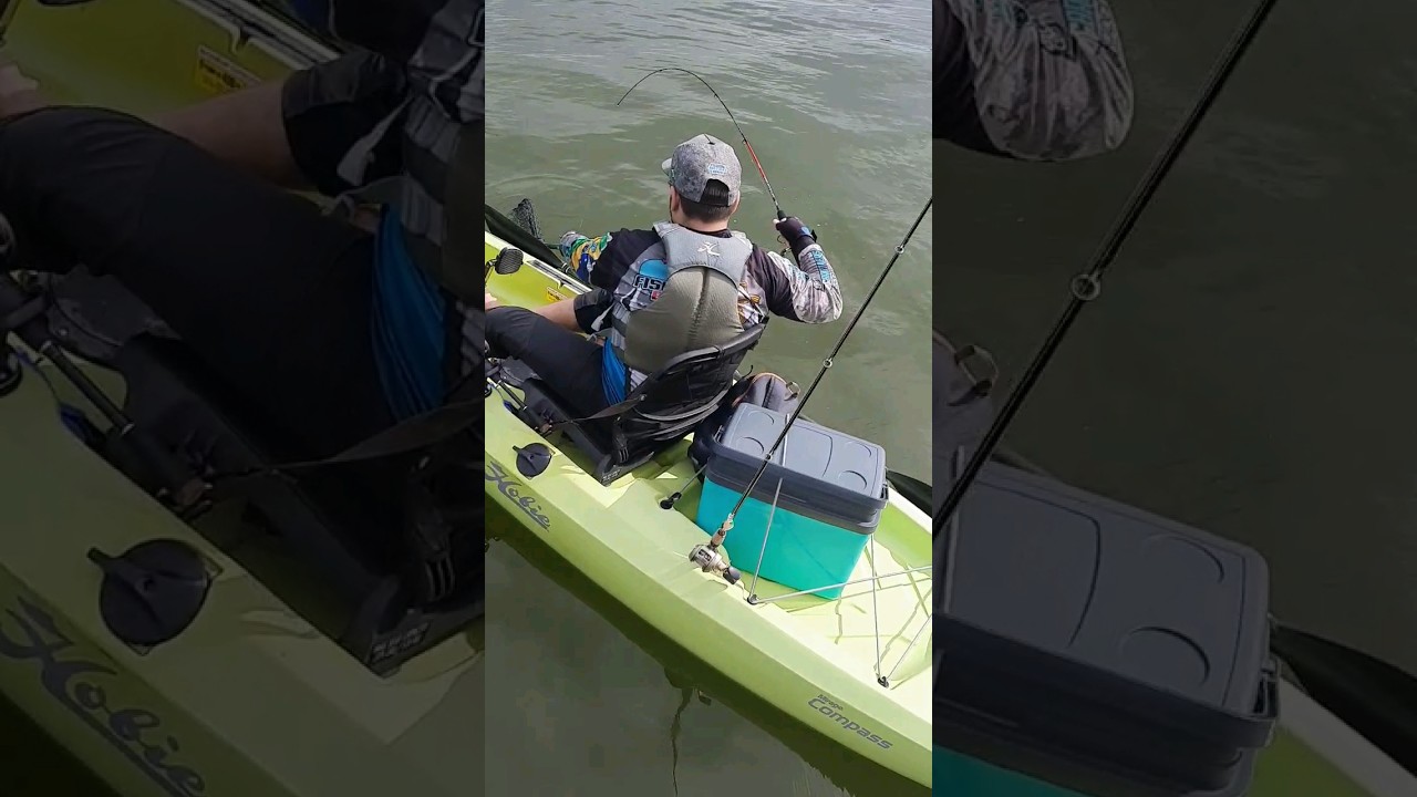 Robalo no Pincho ! Top Minnow n&atilde;o falha!! #robalo #fishing #fish #Floripa