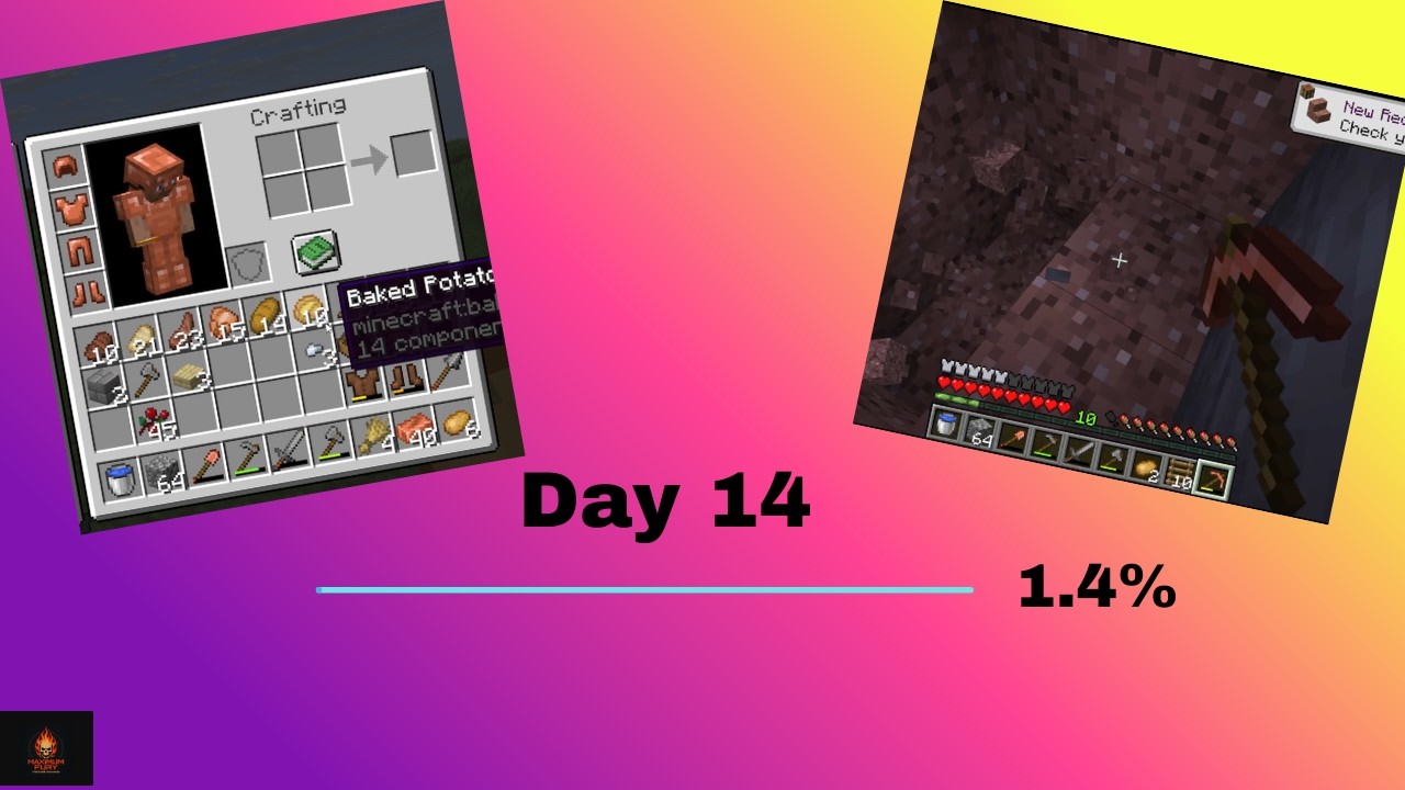 Minecraft Survival Day 14