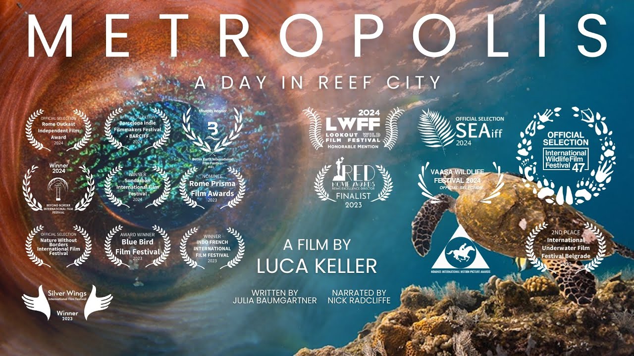 Metropolis - A Day in Reef City 4K