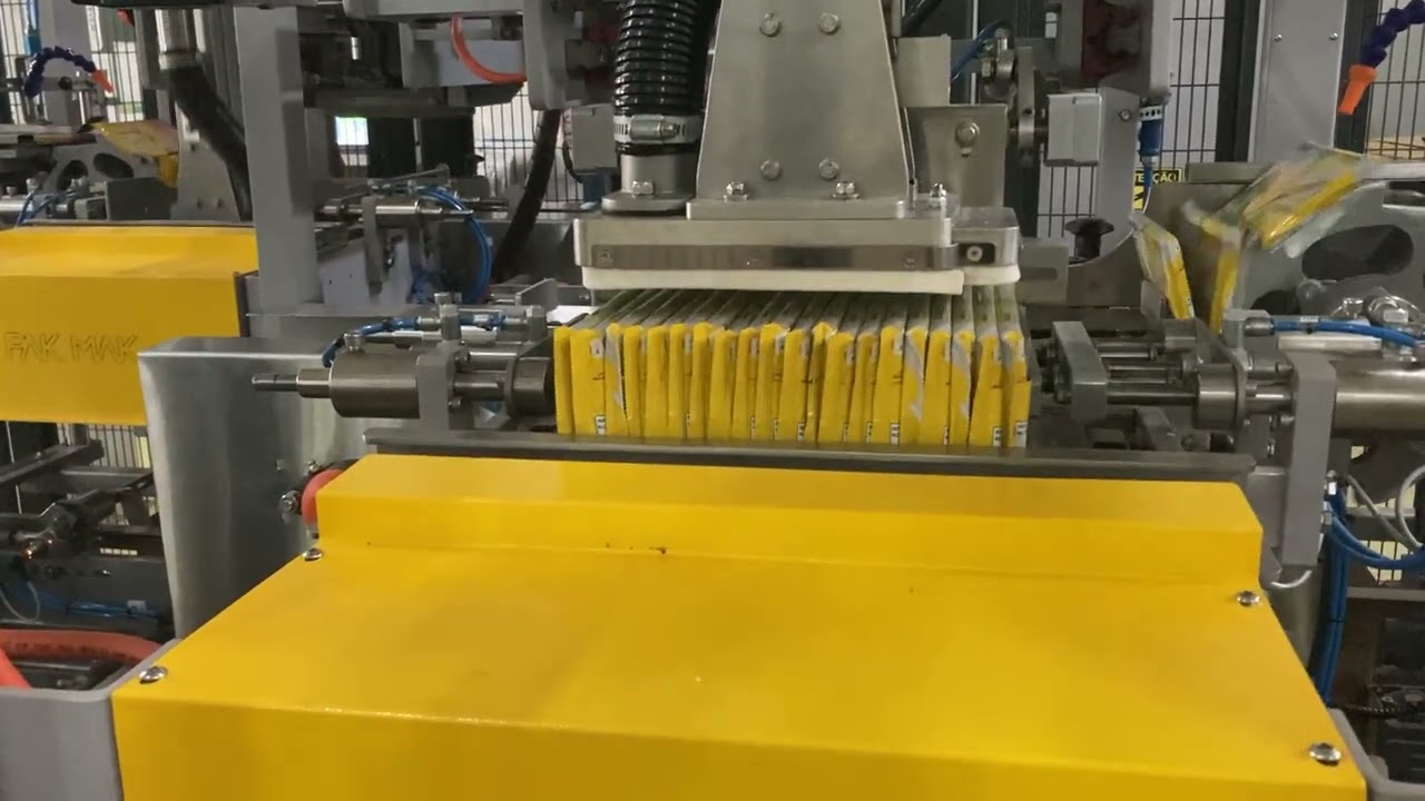 ENCAIXOTADORA DUPLA PARA WAFER