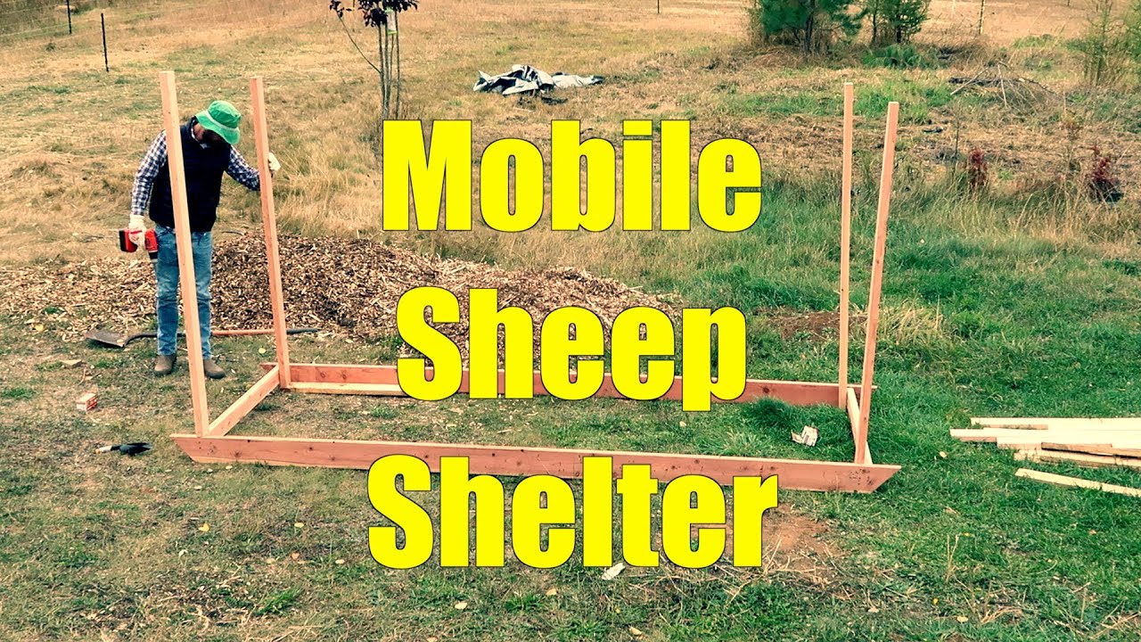 Mobile Sheep Shelter