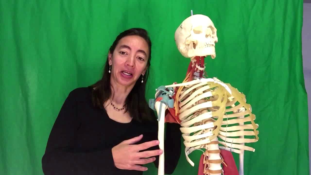 Shoulder Hypermobility