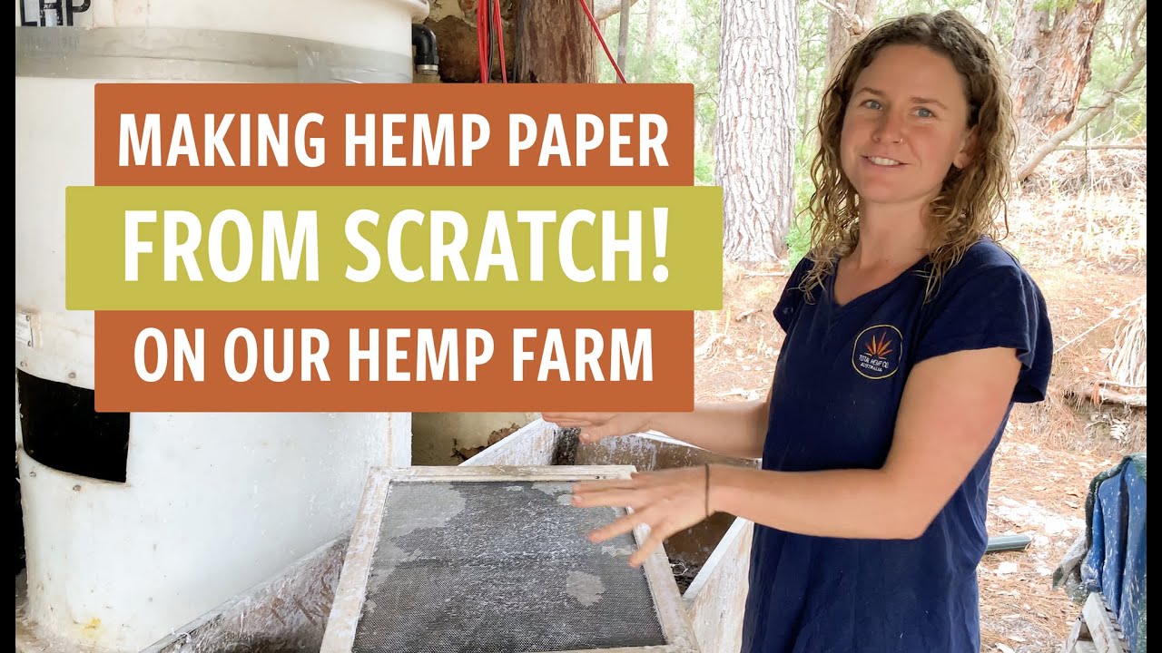 Making Hemp Paper From Scratch On Our Hemp Farm