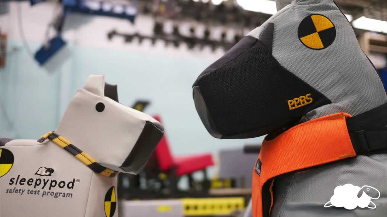 Behind the Design of a Crash Test Dog