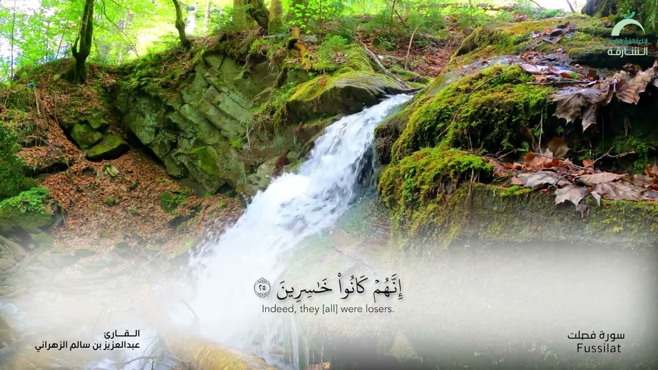 سورة فصلت | القارئ : عبدالعزيز بن سالم الزهراني