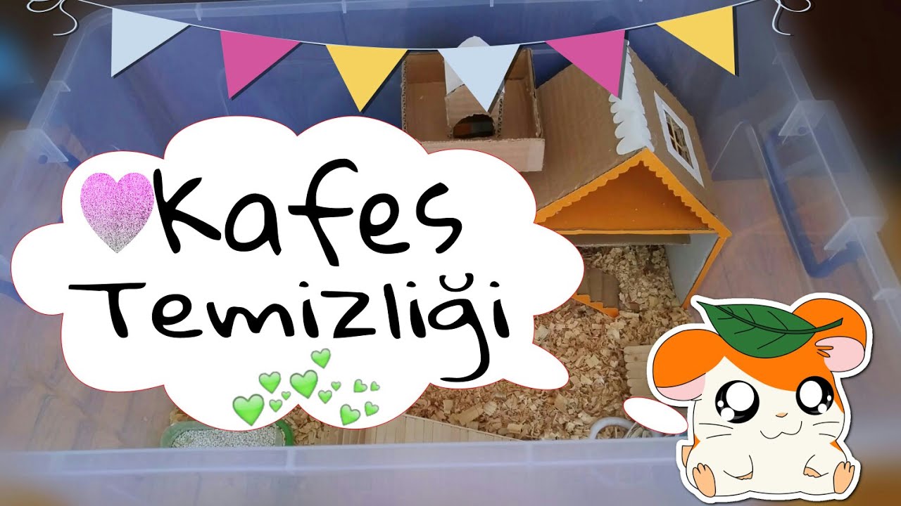 HAMSTER KAFES TEMİZLİĞİ +5D DEKORASYON İLE KAFES SÜSLEME