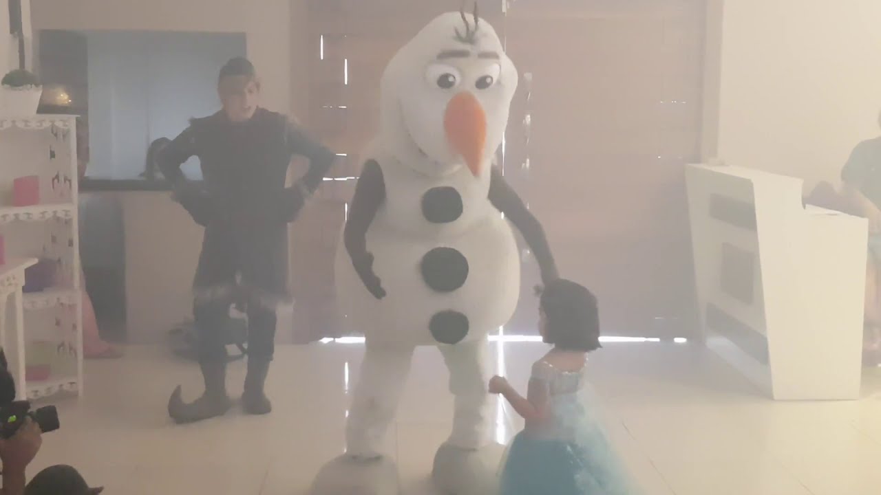 Show Frozen - Aniversário Valentina e Victoria