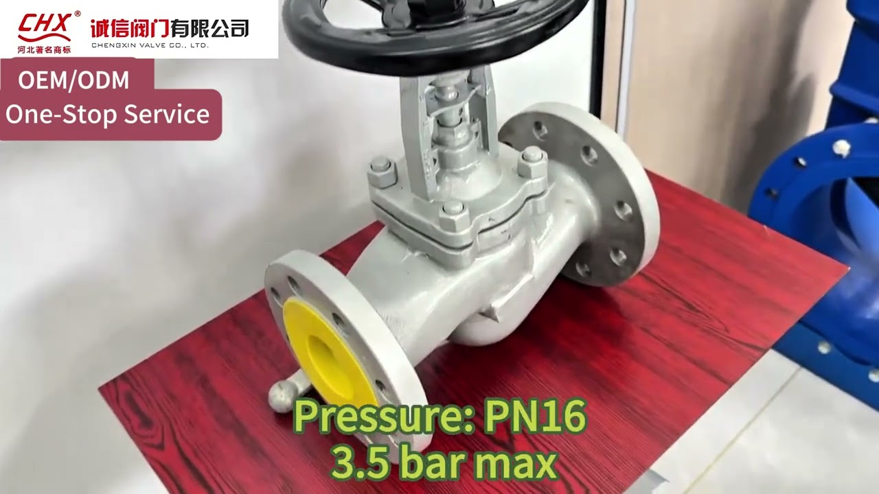 ANSI DIN Bellows Globe Valve