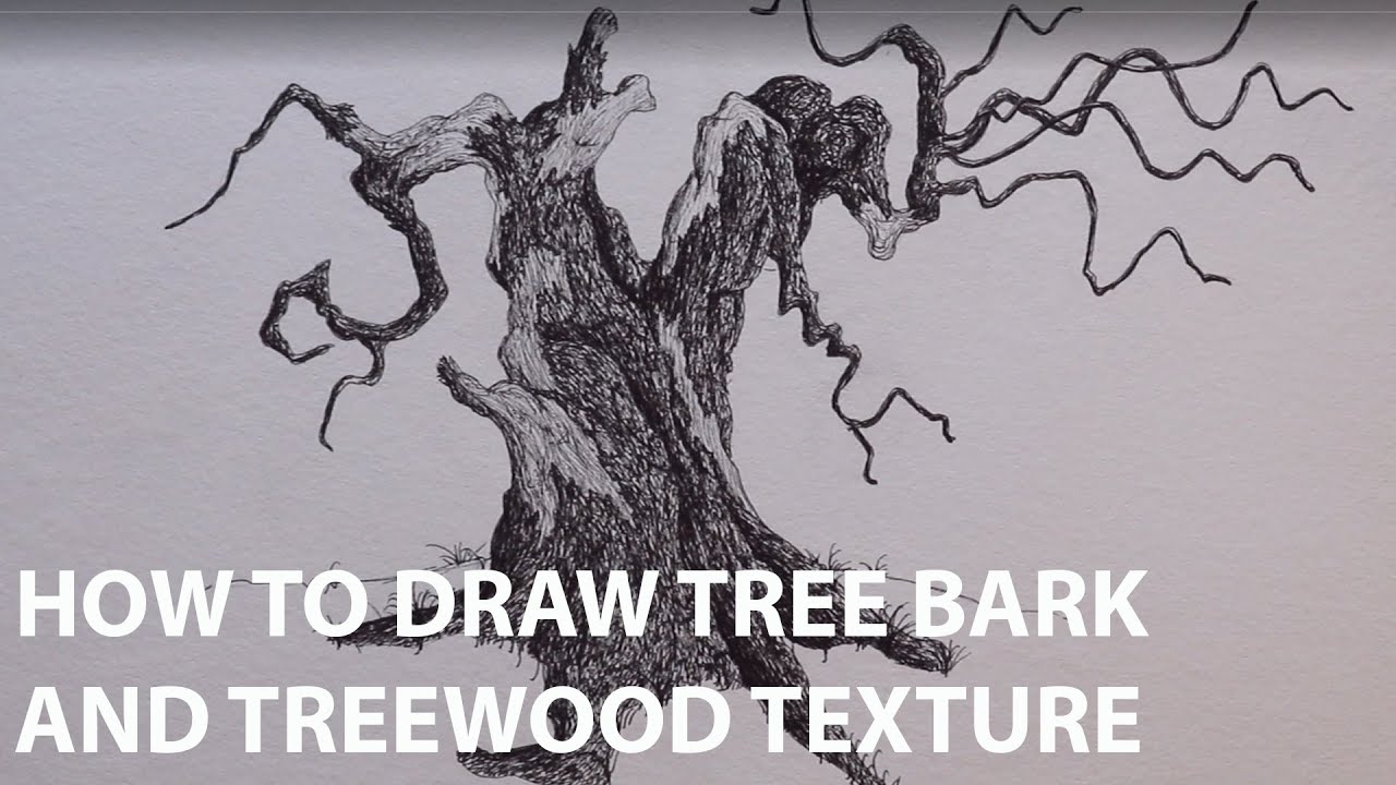 How to Draw Tree Bark and Wood Grain | Drawing An Old Tree