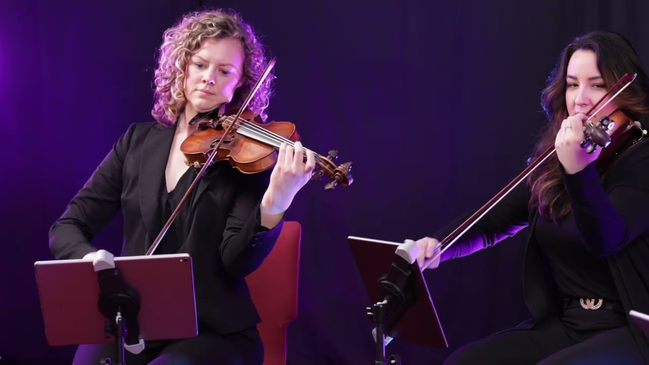 Pachelbel's Canon in D- String Quartet- Vintage String Music