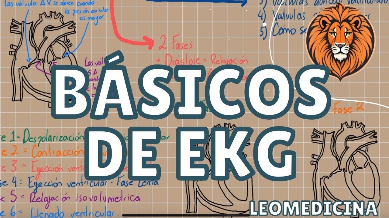 ¿Cómo interpretar un ELECTROCARDIOGRAMA? | Leomedicina