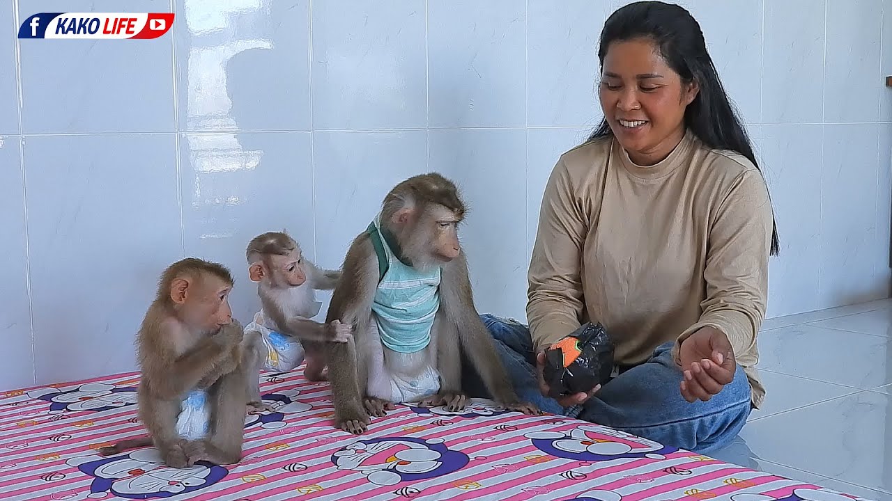 Baby Luka's Family Playing New Ball Together