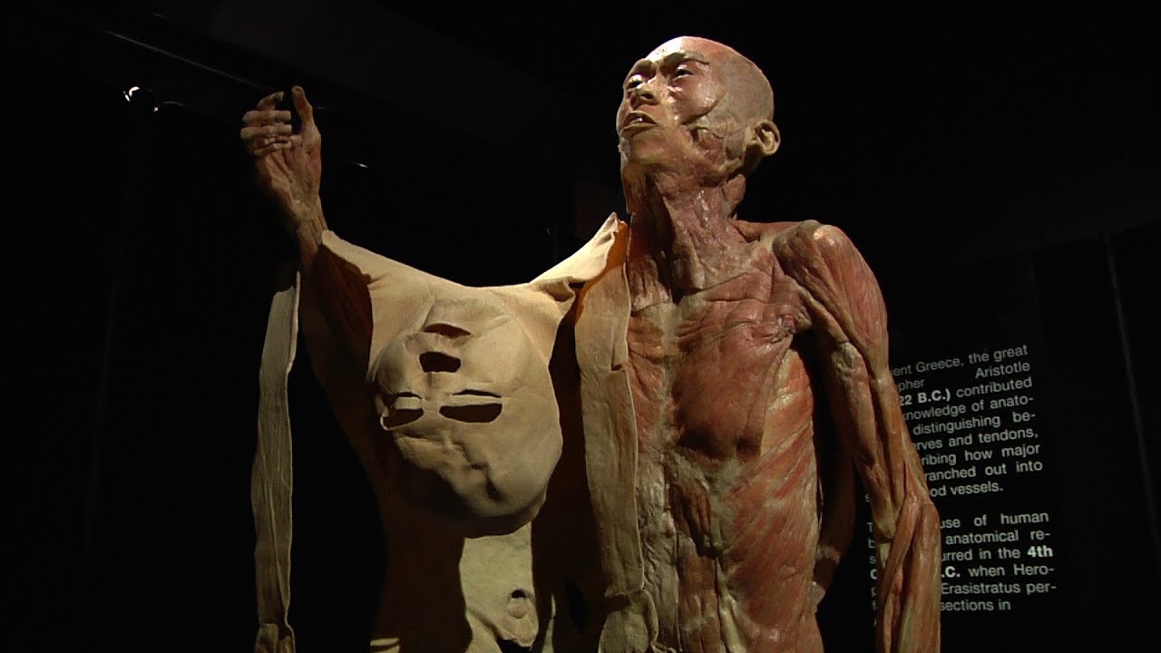 Our Body: The Universe Within [SIV264]