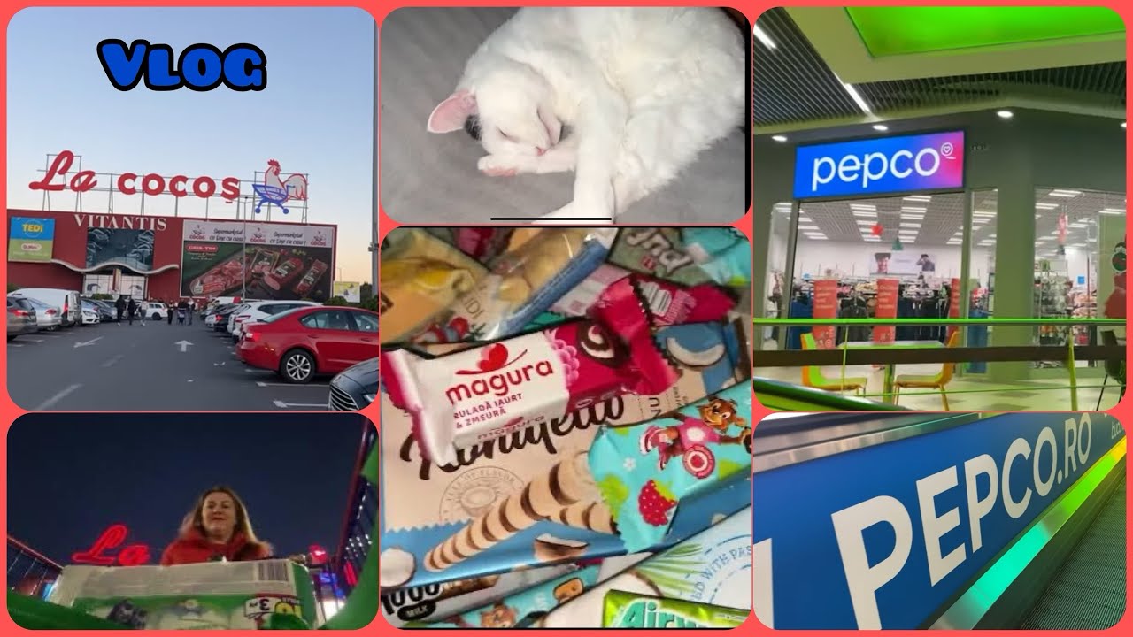 Vlog| Haul cumpărături La Cocoș, Auchan, Lidl | Mergem la Pepco  și la Jumbo