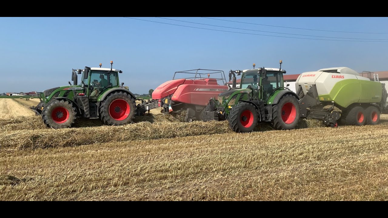 RACCOLTA PANICO 2020 / HARVEST SWITCHGRASS 2020....... Fendt