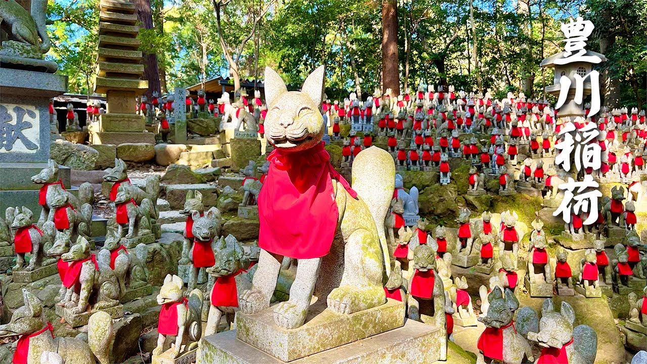 Toyokawa-Inari walk for feeling fox in Japan 〜 豊川稲荷 〜 #4k #scenery #japan