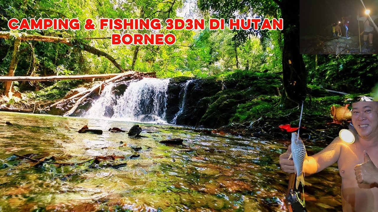 CAMPING & FISHING DI HUTAN BORNEO#4k #borneosarawak 