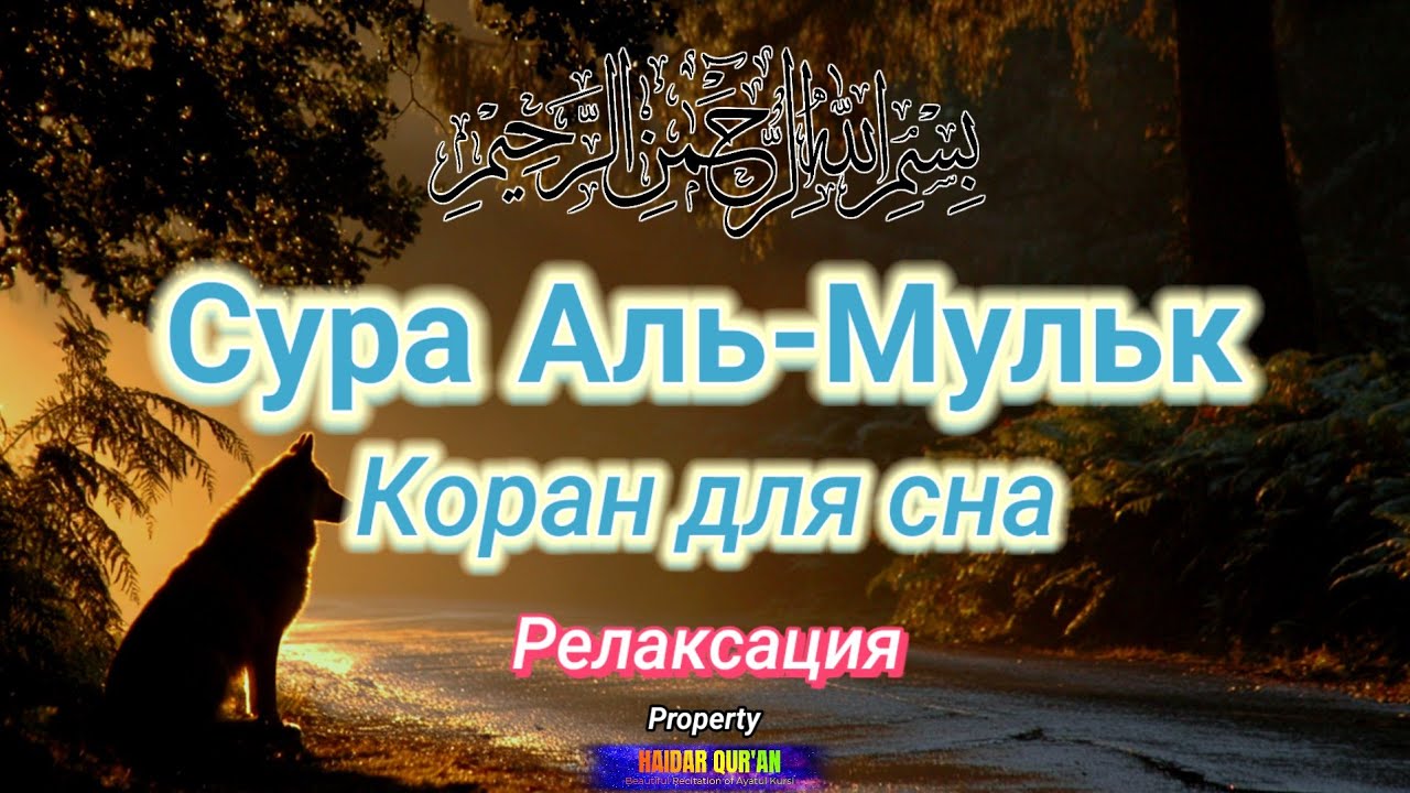 Мелодичная, успокаивающая душу сура Аль-Мульк от Murottal | Коран перед сном
